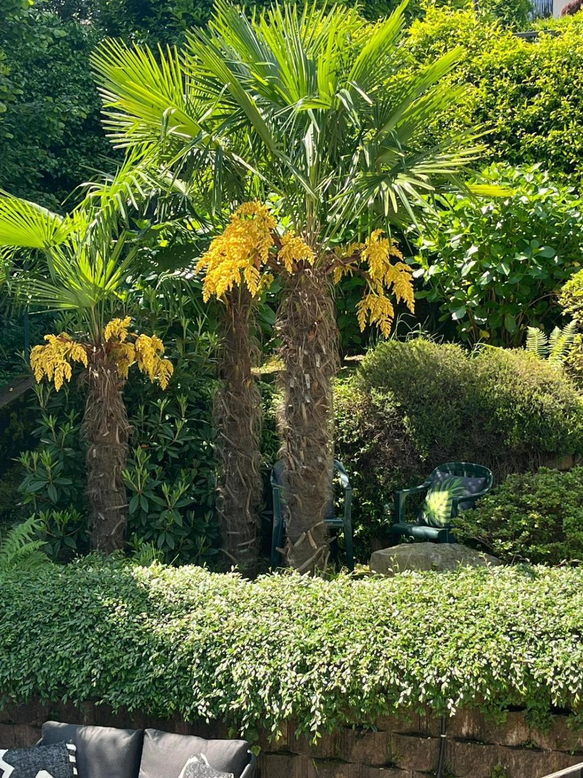 Miralago Stresa Exterior photo